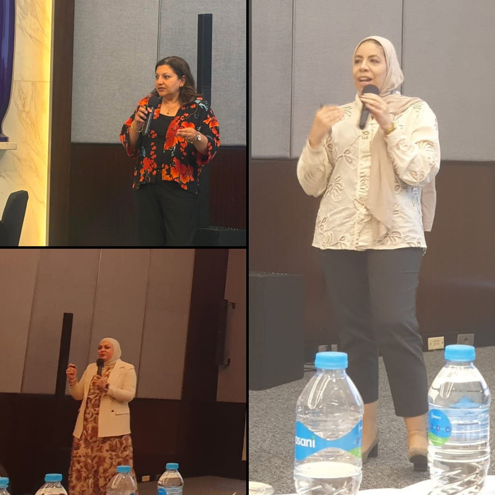 Advancing Climate Governance in Egypt